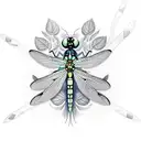 Dragonfly tattoo design idea