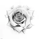 rose with the numbers 444 surrounding the rose tattoo design idea