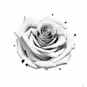 rose with the numbers 444 surrounding the rose tattoo design idea