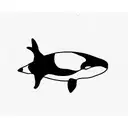 orca tattoo design idea