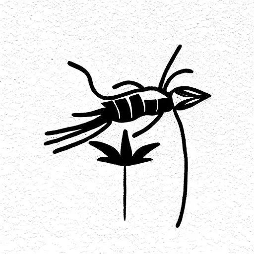 mapache en una rama tattoo design idea