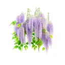 wisteria, violet, ivy, rose, poppy, morning glory, carnation, daisy tattoo design idea