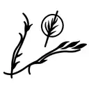 cyprus tattoo design idea