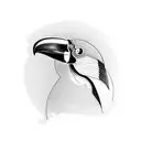 toucan tattoo design idea