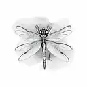 Dragonfly white rose tattoo design idea