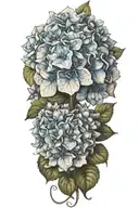 hydrangea flowers tattoo design idea
