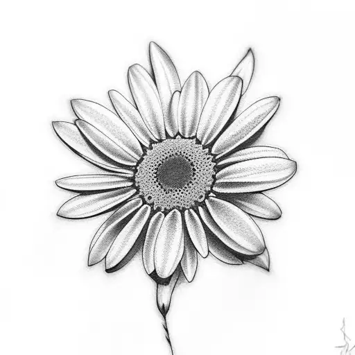 Buy Minimalist Daisy Temporary Tattoos set of 6 Online in India - Etsy