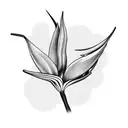 Bird of Paradise tattoo design idea