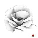 Long Flower line with roses, poppy and a firebird  tattoo design idea