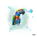 parrot with bubbles tattoo design idea