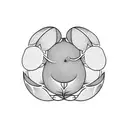 Pomegranate on a tree tattoo design idea