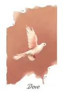Dove tattoo design idea