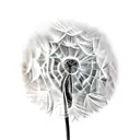 Dandelion tattoo design idea