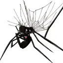 black spider pulling a web leaning on a cobweb tattoo design idea