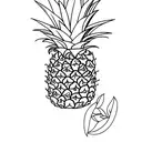 Pineapple tattoo design idea