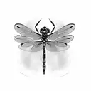 Dragonfly tattoo design idea