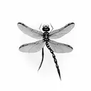 Dragonfly tattoo design idea