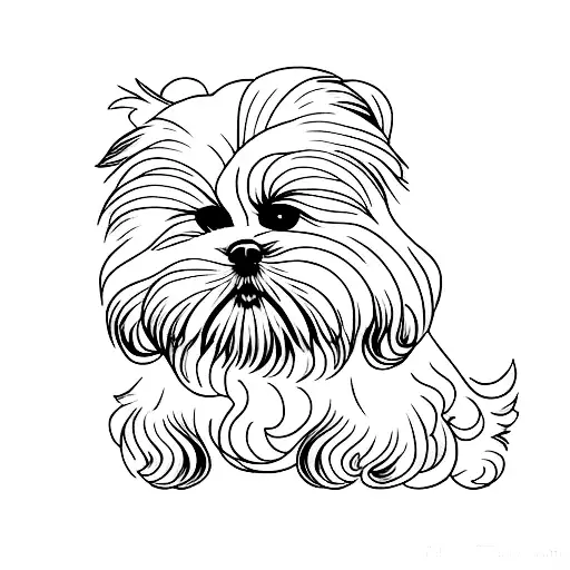 Shih tzu tattoo design idea