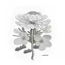 Bog myrtle, raspberry plant, Anemone nemorosa, oak leaf, hepatica flower and  tattoo design idea