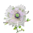 Bog myrtle, raspberry plant, Anemone nemorosa, oak leaf, hepatica flower and  tattoo design idea