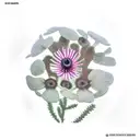 Bog myrtle, raspberry plant, Anemone nemorosa, oak leaf, hepatica flower and  tattoo design idea