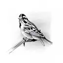 Sparrow tattoo design idea