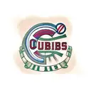 Chicago Cubs and Alabama football tattoo design idea
