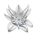 strelitzia  tattoo design idea