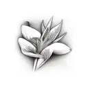 strelitzia  tattoo design idea