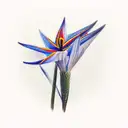 strelitzia  tattoo design idea
