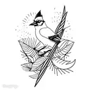 A minimalist tattoo of a bluejay silhouette with the word 'Jassim' incorporated into its design tattoo design idea