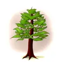 Fern Tree tattoo design idea