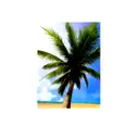 Palm Tree tattoo design idea