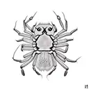 Chrollo spider tattoo tattoo design idea