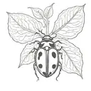 ladybug and Fig leaf tattoo design idea