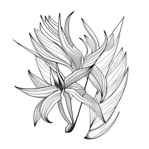 Bird of Paradise tattoo design idea
