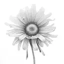 daisy, aster, gladiolus  tattoo design idea