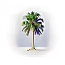 Palm Tree tattoo design idea