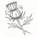 thistle tattoo design idea