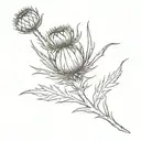 thistle tattoo design idea