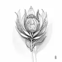 sage plant tattoo design idea