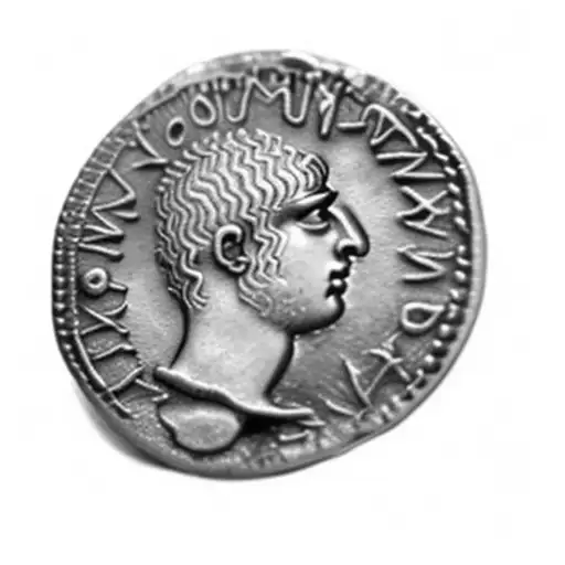 an ancient roman coin tattoo design idea