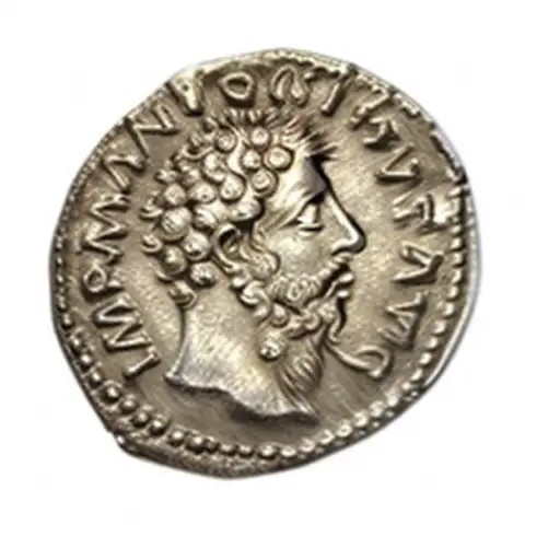 an ancient roman coin tattoo design idea