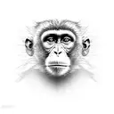 monkey tattoo design idea