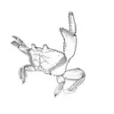 a crab tattoo design idea