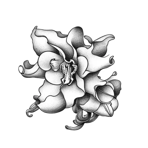 20+ Cattleya Orchid Black Black Background Stock Illustrations,  Royalty-Free Vector Graphics & Clip Art - iStock
