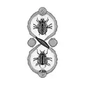 a beetle and pyramid tattoo design idea