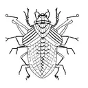 cockroach tattoo design idea