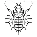 cockroach tattoo design idea