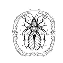 cockroach tattoo design idea